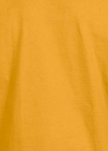 GOLD YOUTH 5.3 oz. Heavy Cotton Long Sleeve T-Shirt G540B by Gildan ...